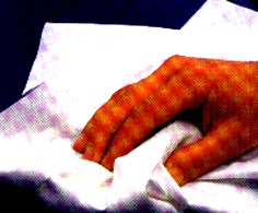 Multisof.jpg (15159 Byte)