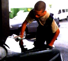 Polypoli.jpg (15845 Byte)