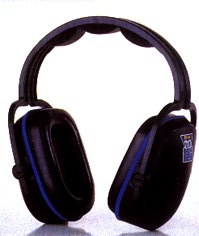 Bilso717.jpg (11860 Byte)