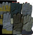 Handsch.jpg (7458 Byte)