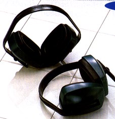 Lisa.jpg (15190 Byte)