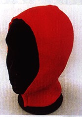 Superg.jpg (11188 Byte)