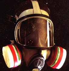 Vollmask.jpg (18365 Byte)