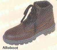 alloboot.jpg (5280 Byte)