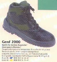 genf2000.jpg (7941 Byte)