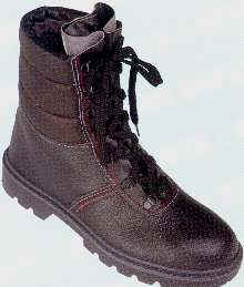 wpe1.jpg (8519 Byte)