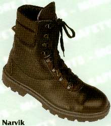 narvik.jpg (8780 Byte)