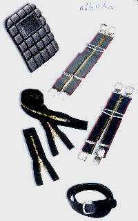 wpe1.jpg (10312 Byte)