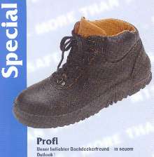 profi.jpg (7624 Byte)