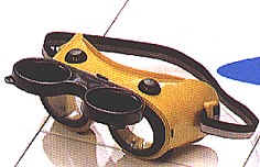 wpe1.jpg (6965 Byte)