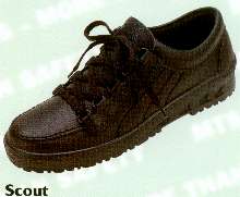 scout.jpg (6488 Byte)