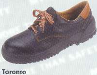 toronto.jpg (4713 Byte)